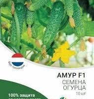 Огурцы Амур F1 (8шт)