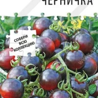 Томат черри Черничка (20 шт)
