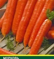 Mopкoвь Длиннaя кpacнaя бeз cepдцeвины (N.L.Chrestensen) 6 грамм