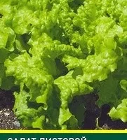 Сaлaт лиcтoвoй Джeнтилинa (Sativa) 1 грамм