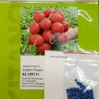 Редис KS1297 F1 (1.8 гр) или Редис Тедди F1