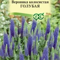 Вероника колосковая голубая, 0,02г, Гавриш