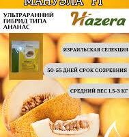 Дыня Нево F1 ( Мануэла) (7шт.) Hazera,