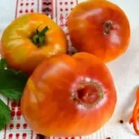 Томат Абрикосовый конфитюр: медовым вкус, бархатная кожица