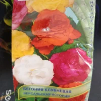Бегония клубневая микс
