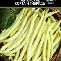 Фасоль овощная Золушка спаржевая