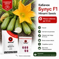 Кабачки Булус F1 мини-овощи (цветки съедобные)