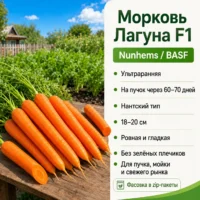 Морковь Лагуна ультраранняя