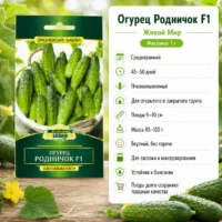 Огурец Родничок