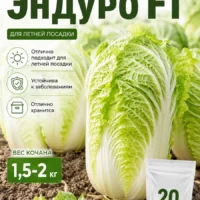 Капуста пекинская Эндуро летний посев