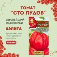 Семена томата сто пудов