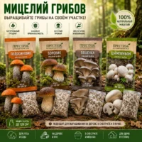 мицелий гриба