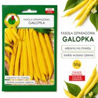 Фасоль спаржевая Галопка кустовая желтая