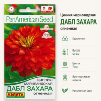 Цинния Дабл Захара Огненная низкорослая, кустистая