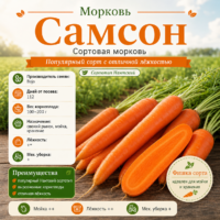 Морковь Самсон F1 (крупная, до 20 см, урожайная)