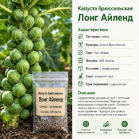 Капуста брюссельская Лонг Айленд небольшие кочанчики