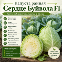 Капуста б/к Сердце Буйвола ультраранняя