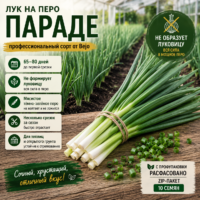 Лук Параде на зелень: урожайный сорт для сочного пера