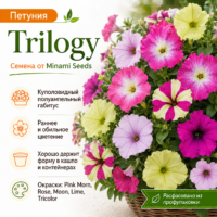 Петуния Трилоджи Trilogy полуампельная каскадная шаровидная