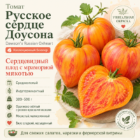 Томат Русское Сердце Доусона (биколор, сердцевидный, до 600 г)