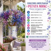 Лобелия ампельная Регата Микс