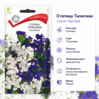Статица Талисман Сине-белый кермек сухоцвет
