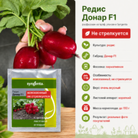 Редис Донар F1 ультраранний крупный