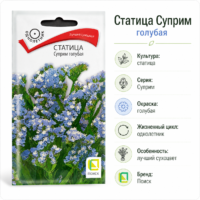 Статица Суприм голубая кермек сухоцвет