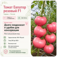 Томат Евпатор розовый F1 среднеранний урожайный. Плодоносит до заморозков