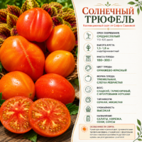 Томат Солнечный Трюфель