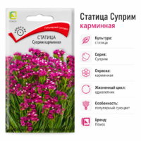 Статица Суприм карминная кермек сухоцвет
