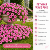 Петуния Вейв Пинк