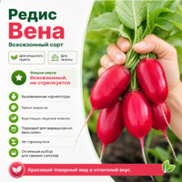 Редис Вена F1 ранний (не стрелкуется, без горечи)