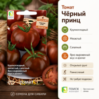 Томат Черный принц