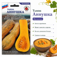 Тыква Аннушка мускатная