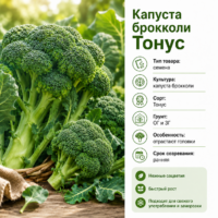 Капуста брокколи Тонус ранняя отрастают головки