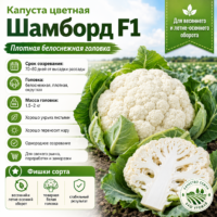 Капуста цветная Шамборд F1 (кремово-белая, урожайная)