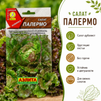 салат палермо сортотип айсберг