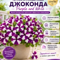 Петуния Джоконда Парпл энд Вайт двухцветная каскадная F1