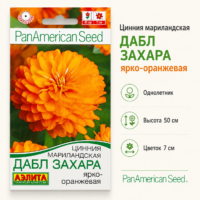 Цинния Дабл Захара ярко-оранжевая низкорослая, кустистая