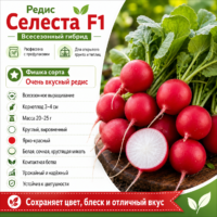 Редис Селеста F1 ультраранний (не стрелкуется, без горечи)