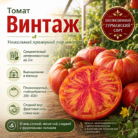 Томат Винтаж красный с желтыми штрихами среднеранний