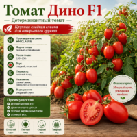 Томат Дино F1 ранний красный (детерминантный, 120–150 г)