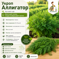 ukrop-alligator-pozdnespelyy-f1