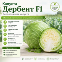 Капуста Дербент F1 среднепоздняя