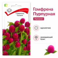 Гомфрена Пурпурная сухоцвет
