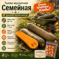 Тыква Семейная длинная крупная