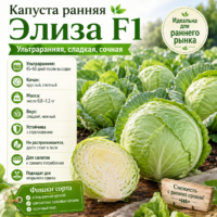 Капуста Элиза F1 ультраранняя (50–55 дней)