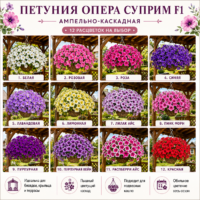 Петуния Опера Суприм F1 ампельная (каскадная) все расцветки