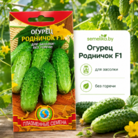 Огурец Родничок F1